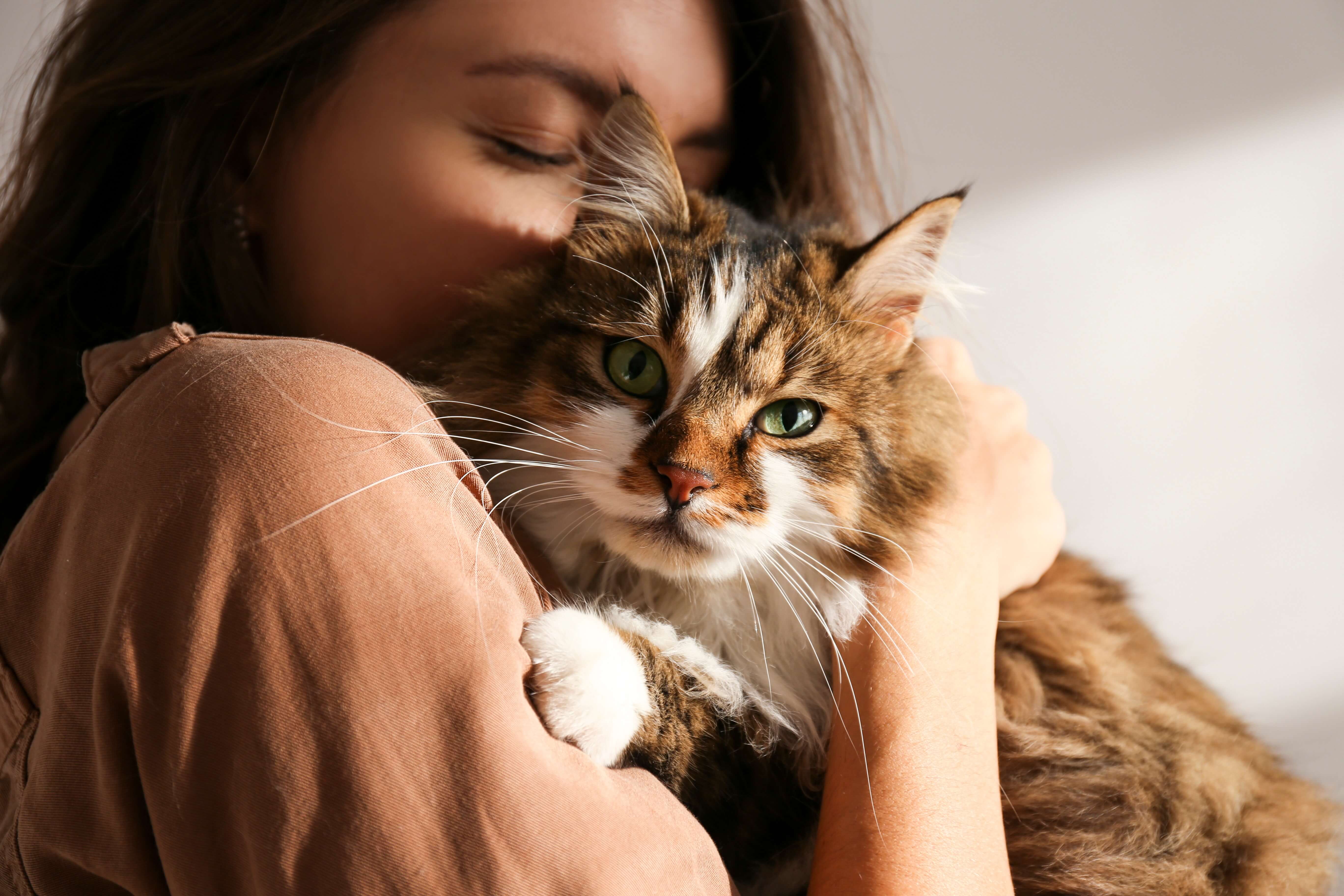  Frau kuschelt Ihre Katze 