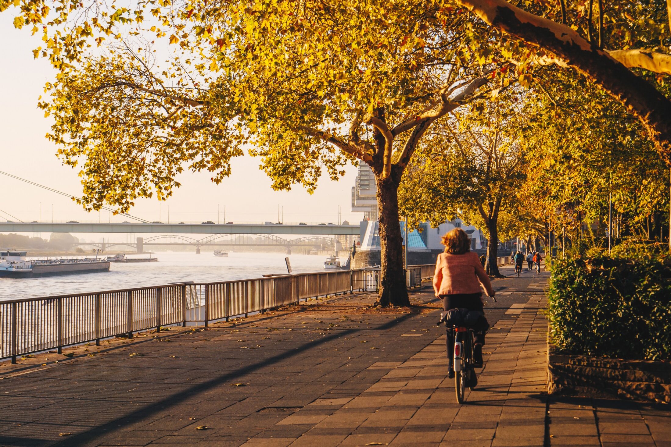 Frau fährt auf Fahrrad an Rhein lang