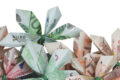 Geldscheine die zu Blumen gefaltet sind