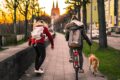 Im Sonnenuntergang fährt eine junge Frau auf dem Fahrrad mit der Leine von einem Hund in der Hand. Neben ihr fährt eine weitere junge Frau auf dem Skateboard.