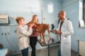 frau und junge mit hund bei tierarzt