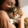 Frau kuschelt Ihre Katze