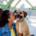 Eine Frau mit Hund auf der Rheinbrücke