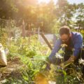 https://meinkoelnbonn.de/app/uploads/2025/04/Headerbild_Urban-Gardening-1.jpg