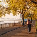 https://meinkoelnbonn.de/app/uploads/2025/09/Headerbild_Herbst-in-KoelnBonn.jpg